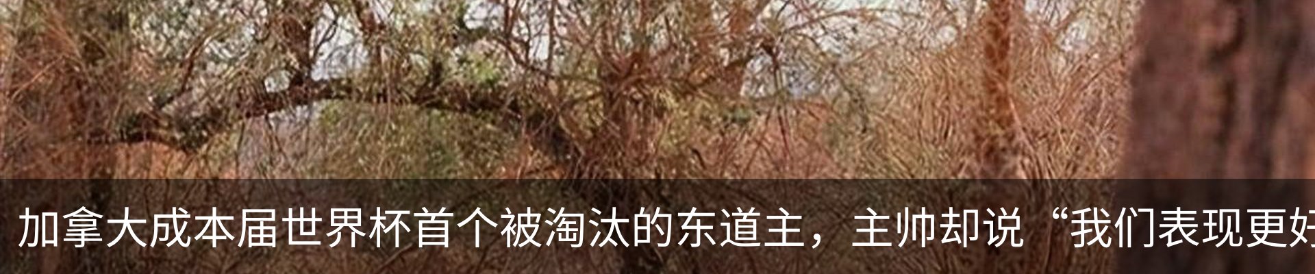 资讯动态